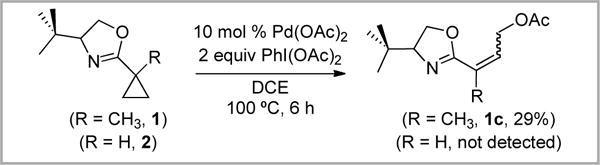 Scheme 5