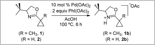 Scheme 4