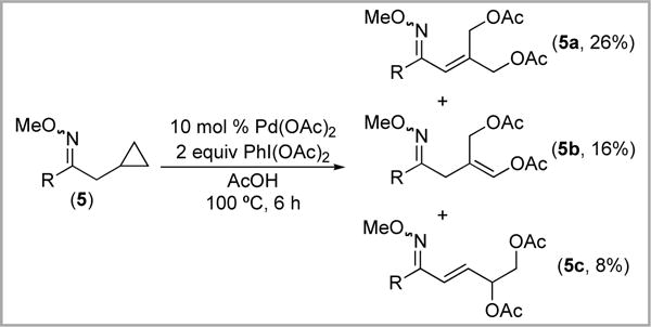 Scheme 9