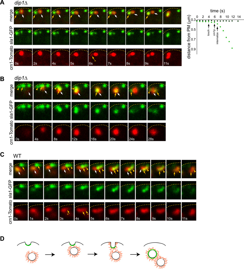 Figure 6