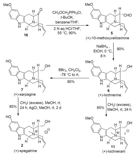 Scheme 8