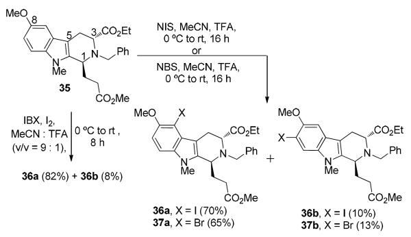 Scheme 10