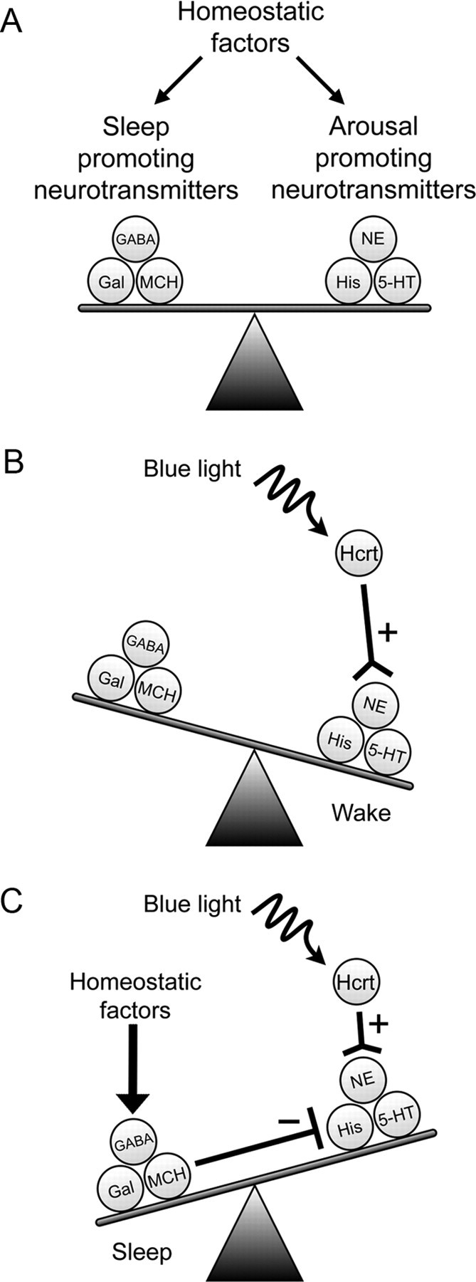 Figure 7.