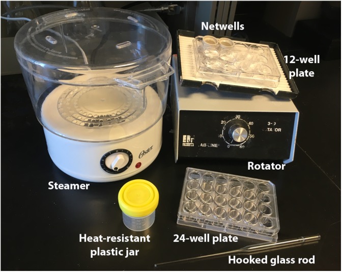 FIGURE 1