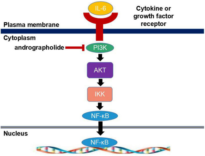 FIGURE 2