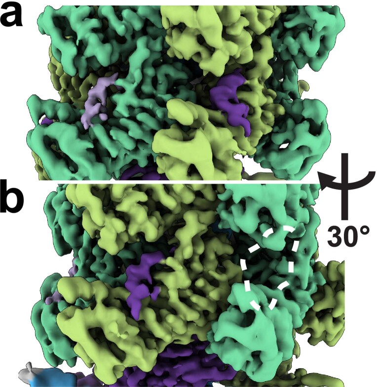 Extended Data Fig. 5