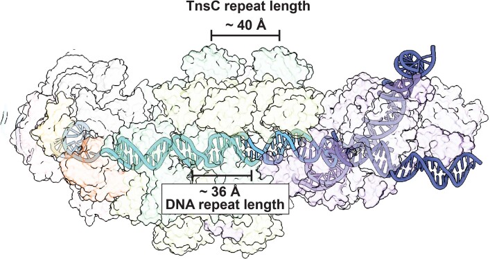 Extended Data Fig. 7