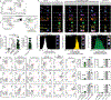 Extended Data Fig. 1