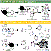 Extended Data Fig. 10