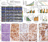 Extended Data Fig. 9