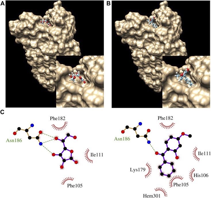 FIGURE 2