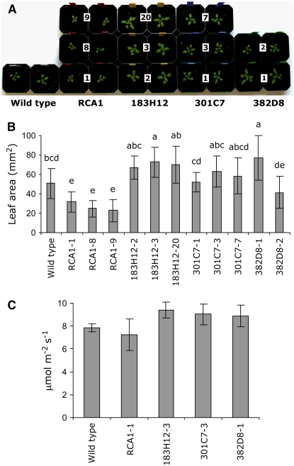 Figure 4.