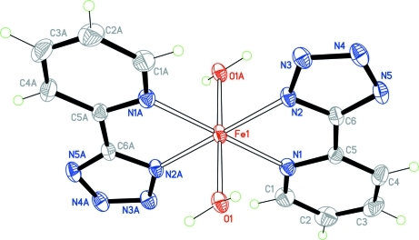 Fig. 1.