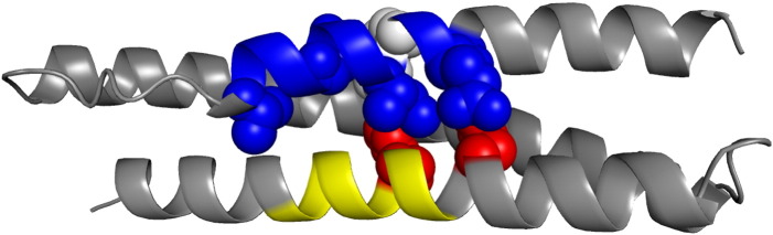 Fig. 6