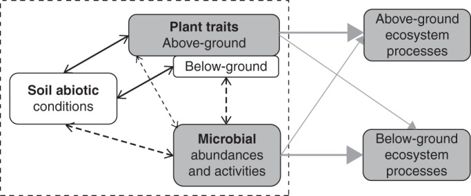 Fig. 1.