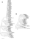 FIG 1