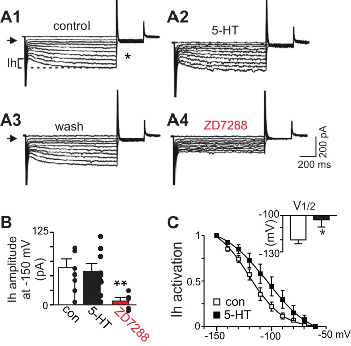 Fig. 6.