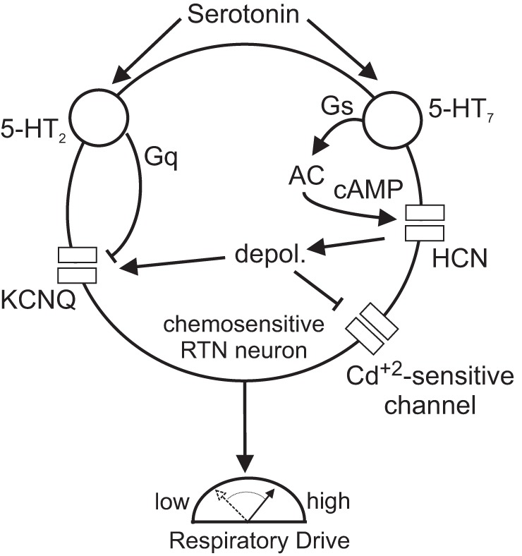 Fig. 8.