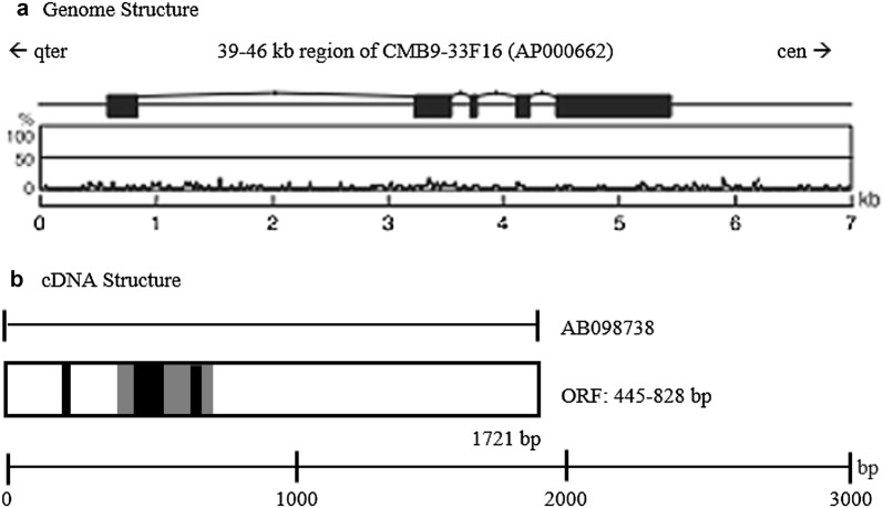 Fig. 1