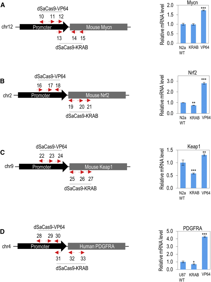 Figure 4