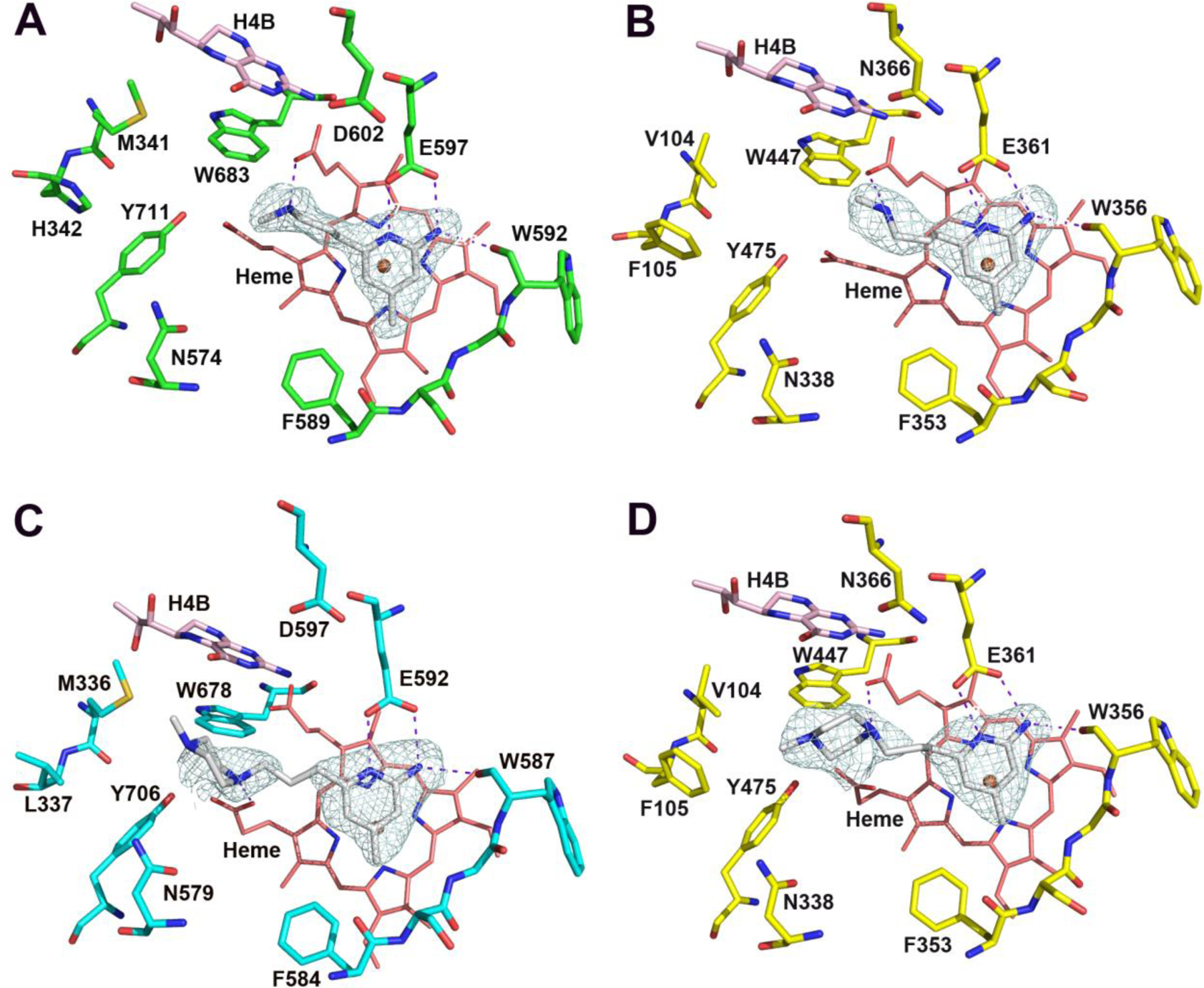Figure 4.