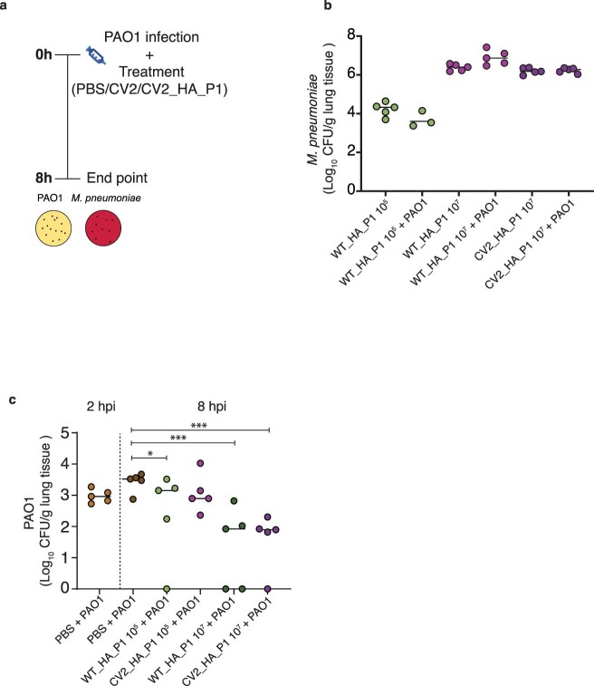 Extended Data Fig. 8