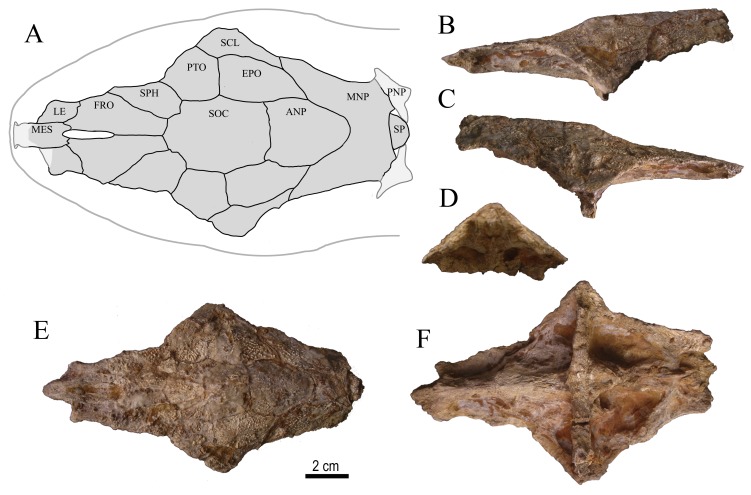 Figure 7