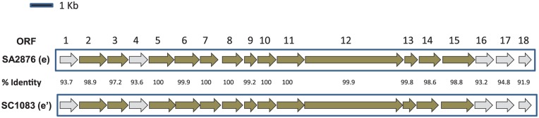 Figure 5.