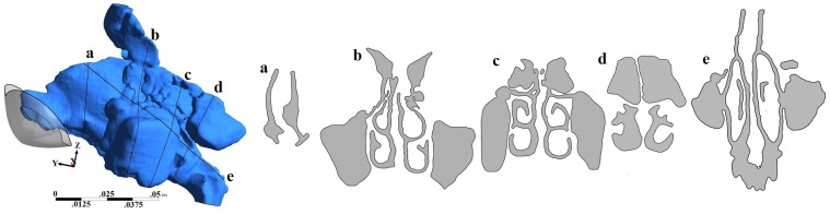 Fig 1