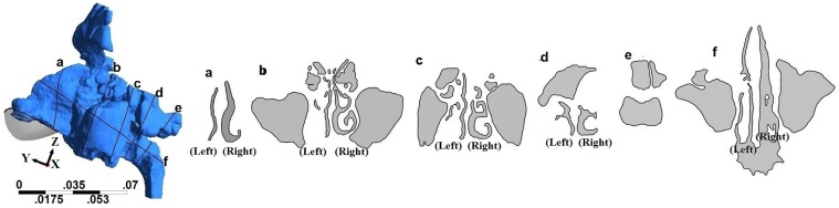 Fig 2