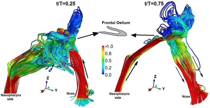 Fig 11