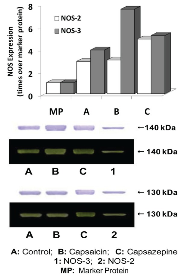 Figure 7)