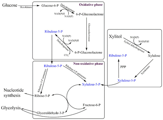 Figure 5