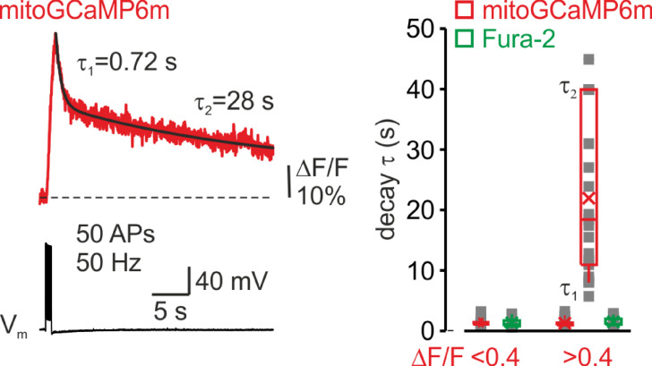 Figure 1—figure supplement 5.