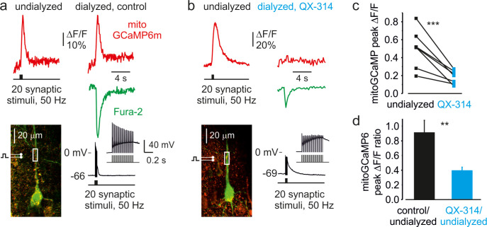 Figure 4—figure supplement 1.