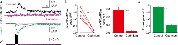 Figure 1—figure supplement 2.