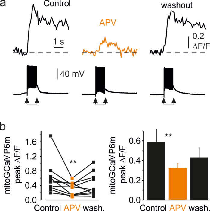 Figure 4—figure supplement 2.