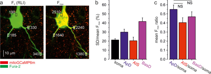 Figure 1—figure supplement 6.