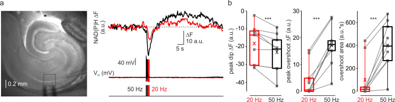 Figure 3—figure supplement 1.