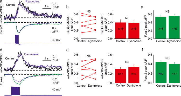 Figure 1—figure supplement 3.