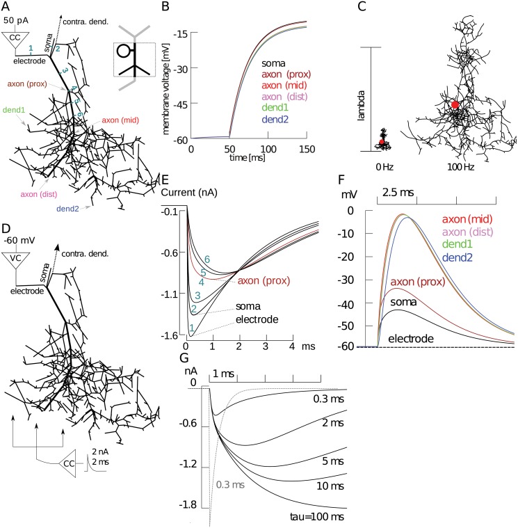 Fig 4