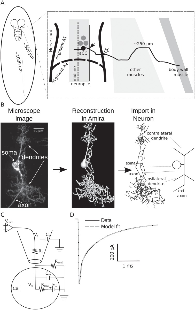 Fig 3