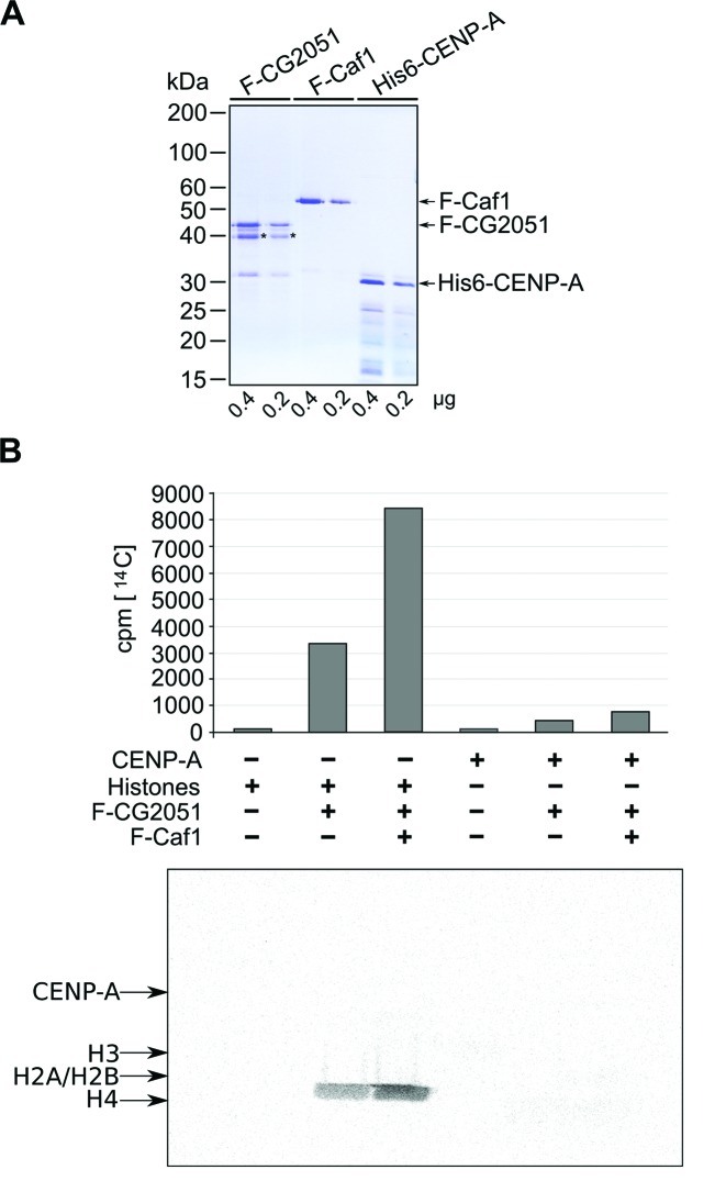 Figure 6.