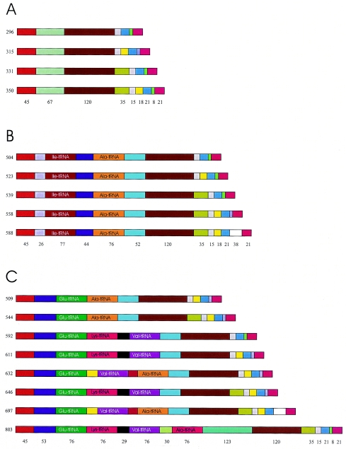 FIG. 2.