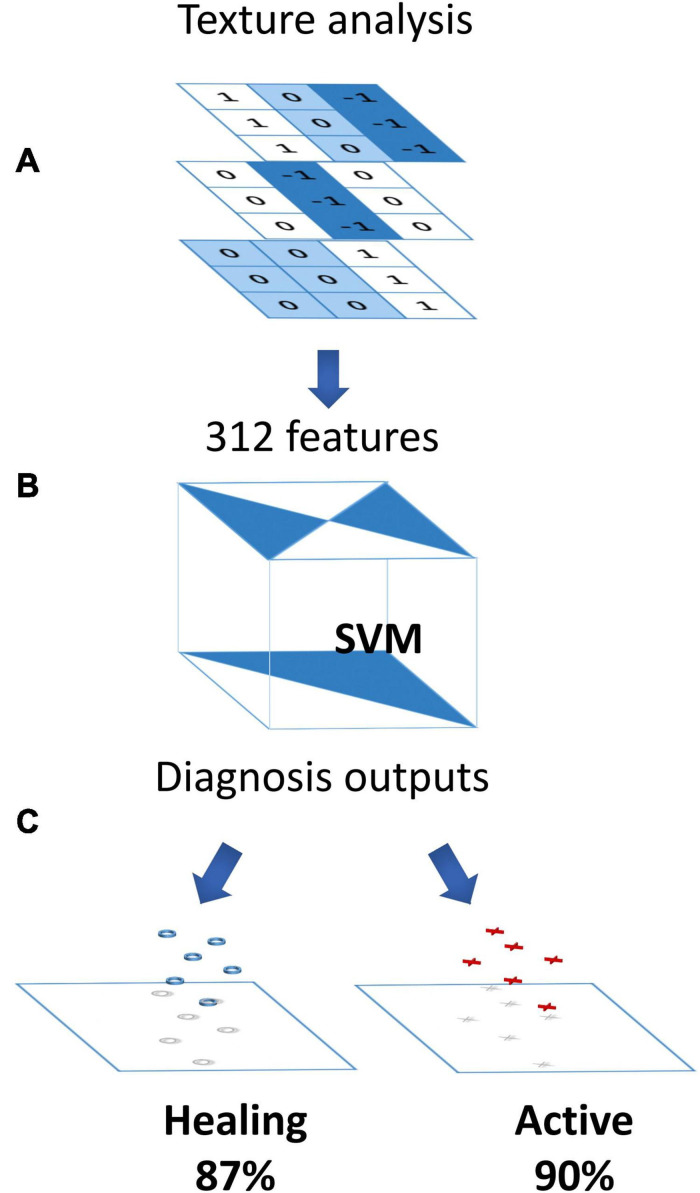 FIGURE 3