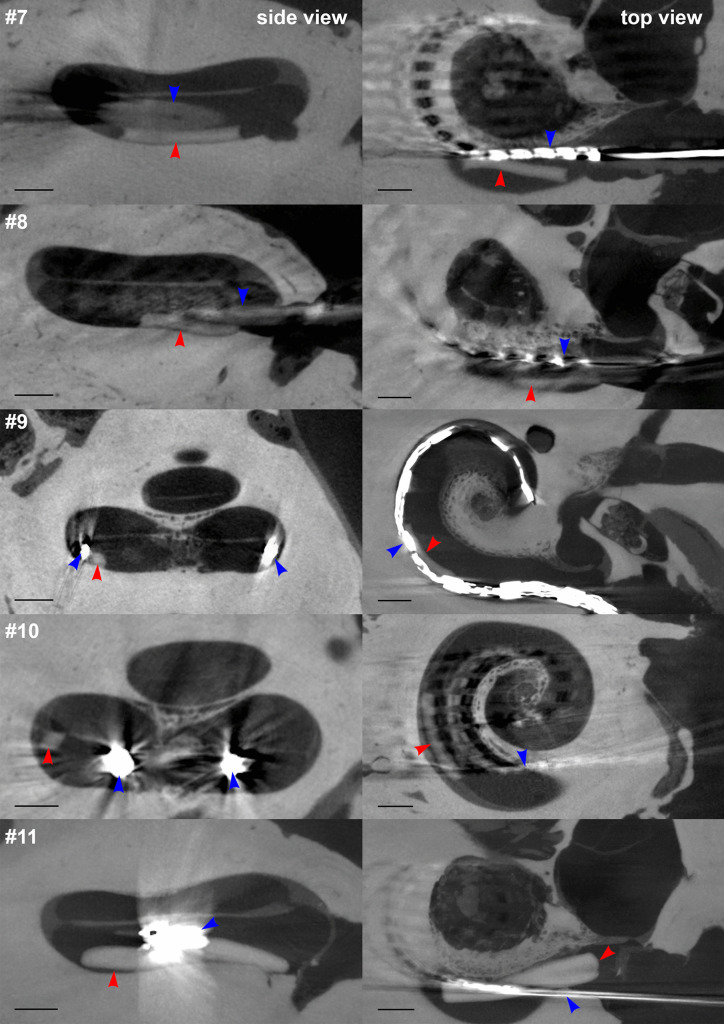 Fig. 5