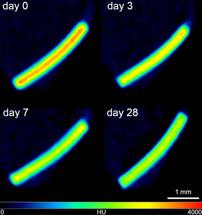 Fig. 2