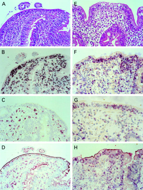 Figure 2  