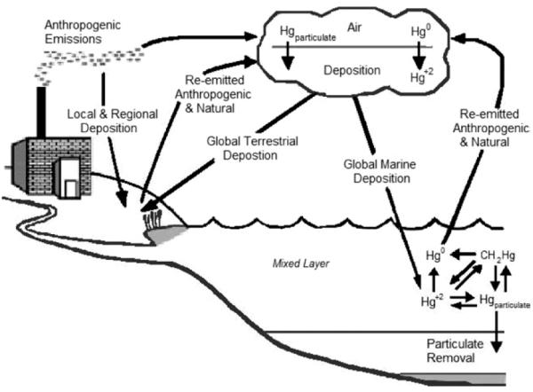 FIG 1