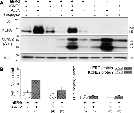 Fig. 10.